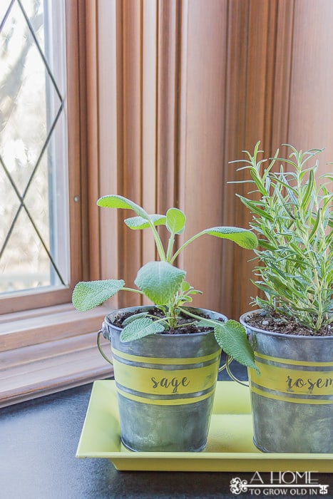 Learn how to age galvanized metal quickly to make these rustic farmhouse herb planters!