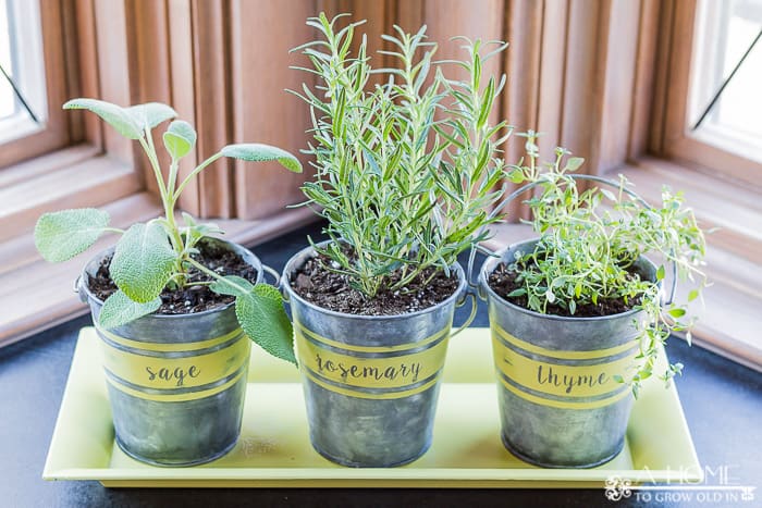 Learn how to age galvanized metal quickly to make these rustic farmhouse herb planters!