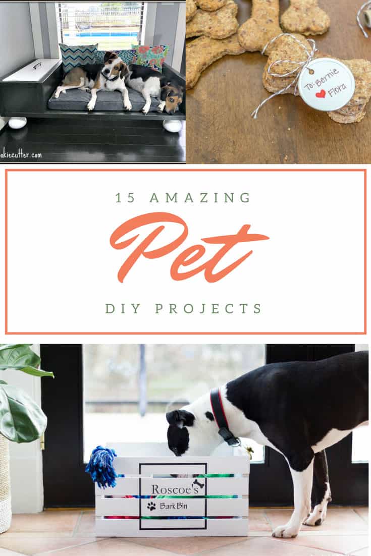 Check out these 15 amazing pet DIY projects for your cat or dog! There is everything from beds, bowl stands, and gates to homemade treats.