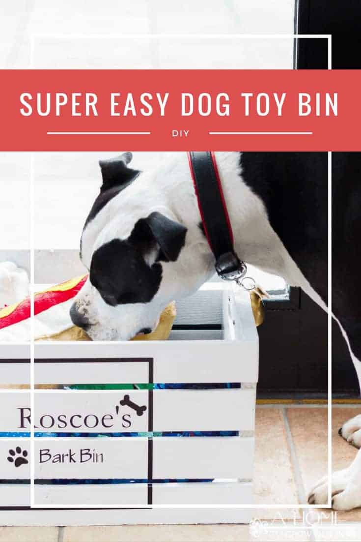 dog reaching for a toy from a pet toy box