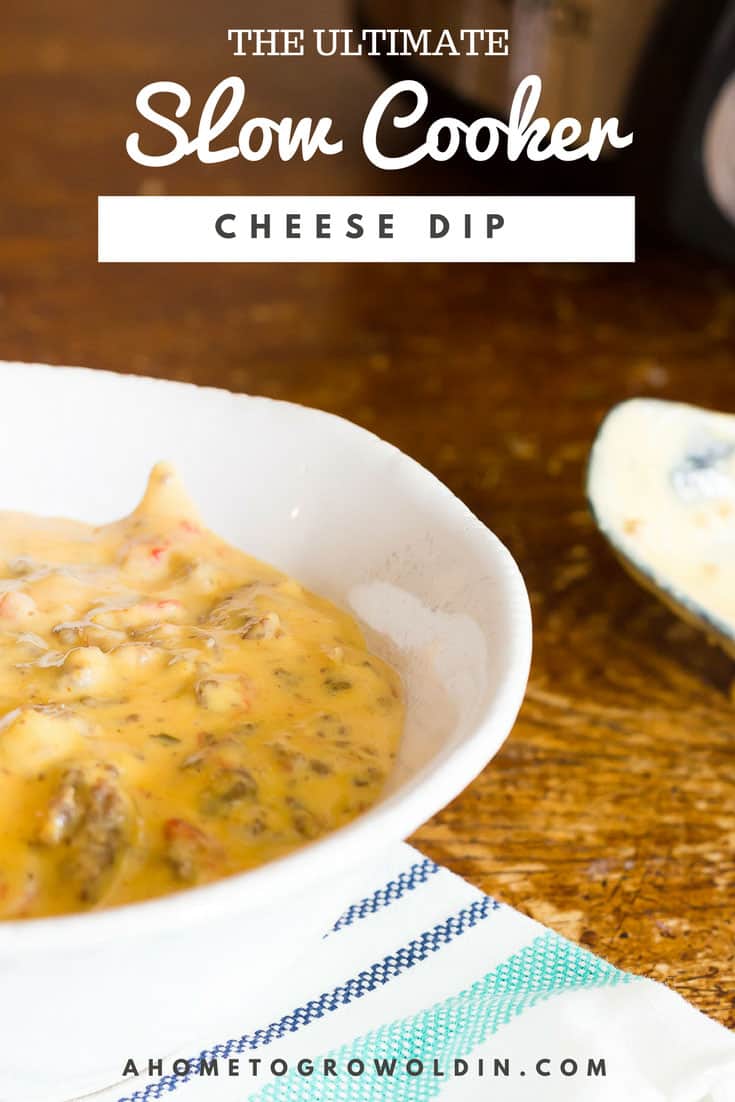 photo of slow cooker cheese dip