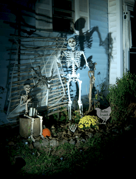 outdoor Halloween decorations with lifesize posable halloween skeleton