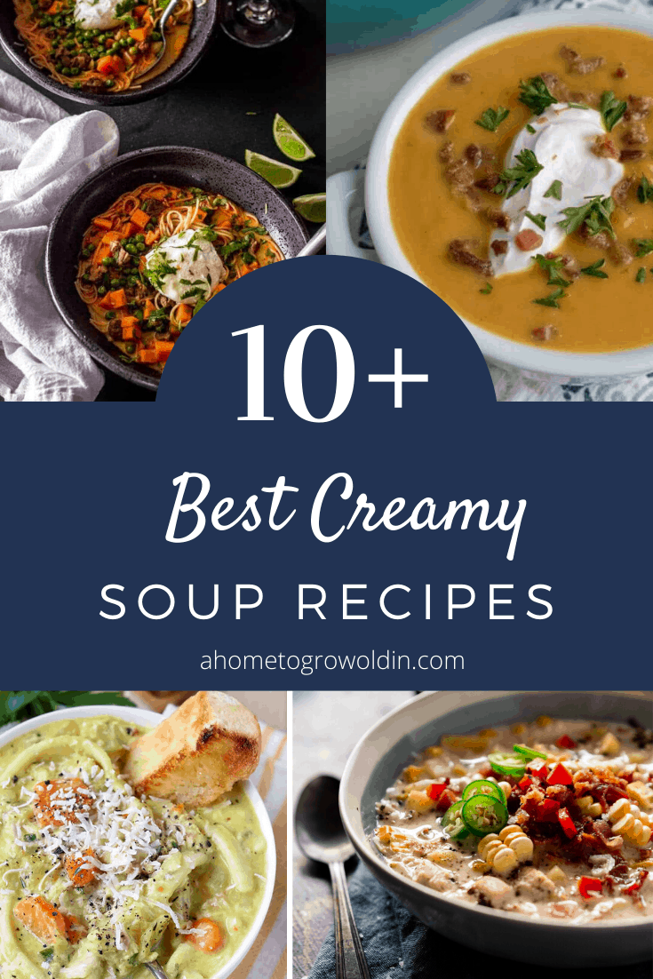 10+ best creamy soup recipes