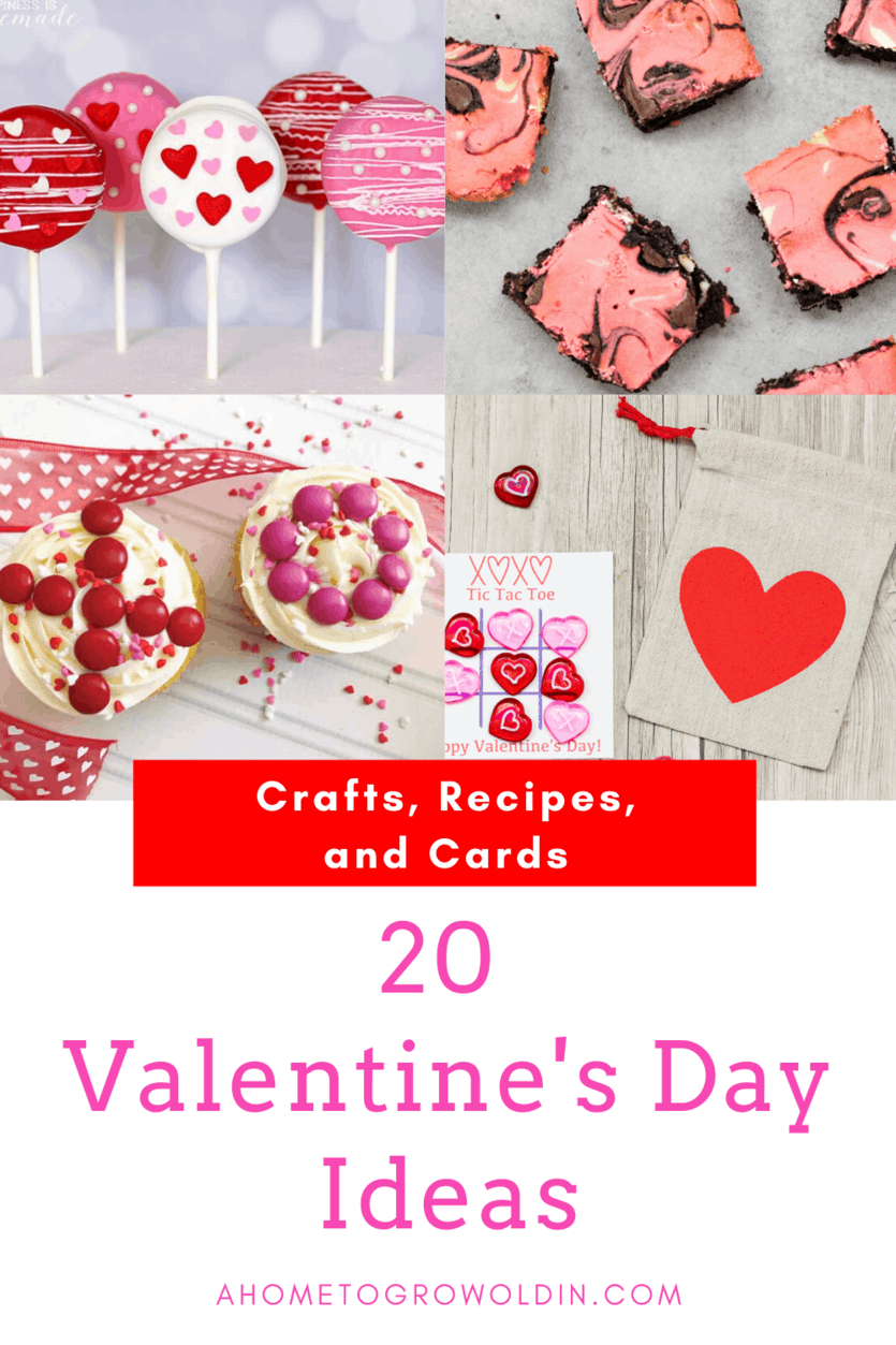 Valentine's Day Ideas: 20 Crafts, Recipes, and Cards » A Home To Grow ...