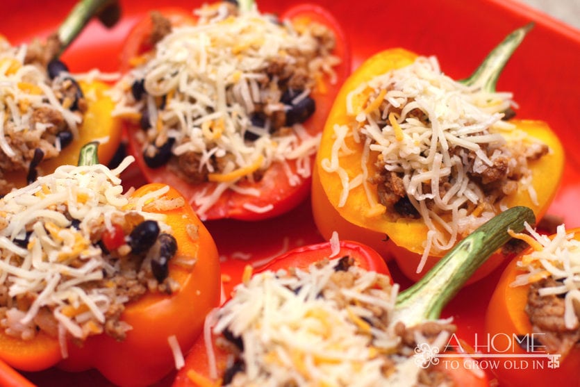 ground turkey stuffed bell peppers topped with cheese