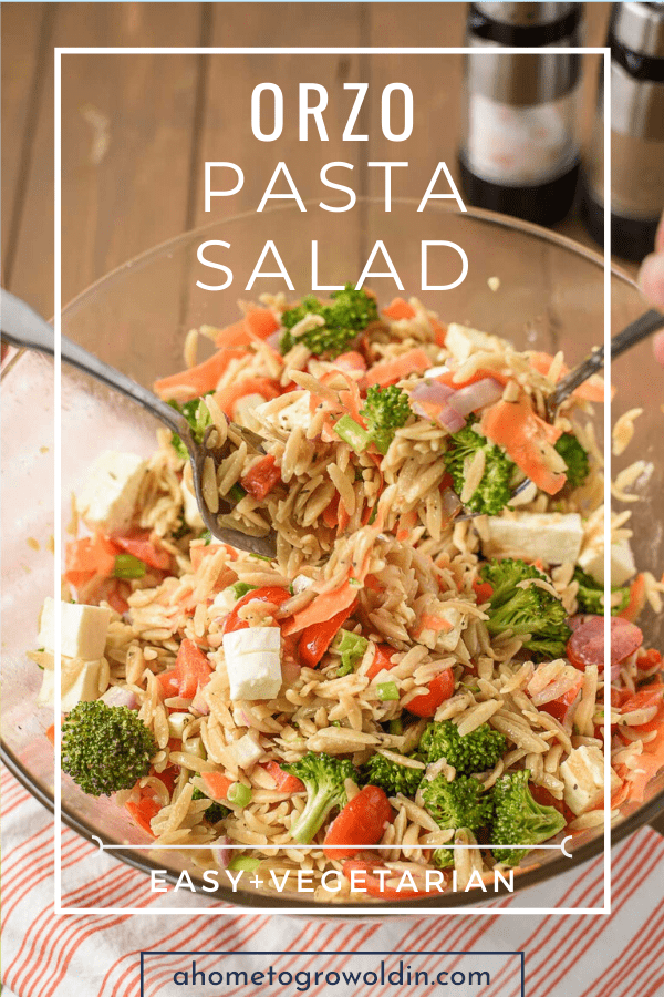 Orzo Pasta Salad: A Delightful Side Dish » A Home To Grow Old In